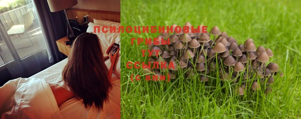 скорость Горняк