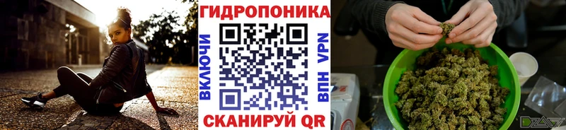 Купить  Карачаевск  Бошки Шишки гибрид 